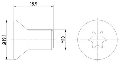 Болт PAGID TPM0010