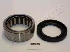 Комплект подшипника JAPANPARTS KK-22025