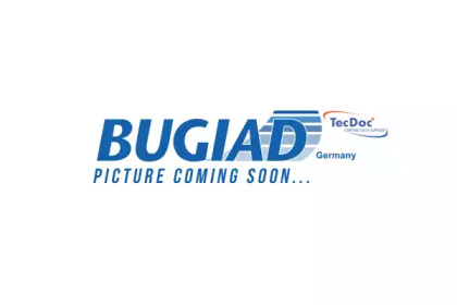 Зеркало BUGIAD BSP24860