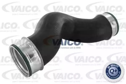 Шлангопровод VAICO V10-2696