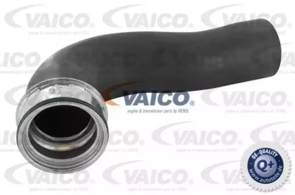 Шлангопровод VAICO V10-2699