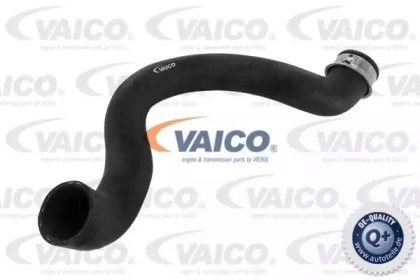 Шлангопровод VAICO V30-2223