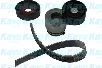 Ременный комплект KAVO PARTS DKM-6503