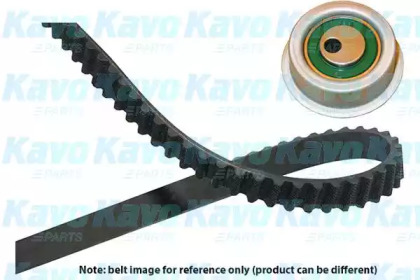 Ременный комплект KAVO PARTS DKT-5501