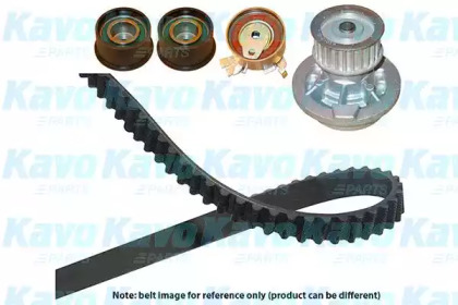 Комплект водяного насоса / зубчатого ремня KAVO PARTS DKW-1003