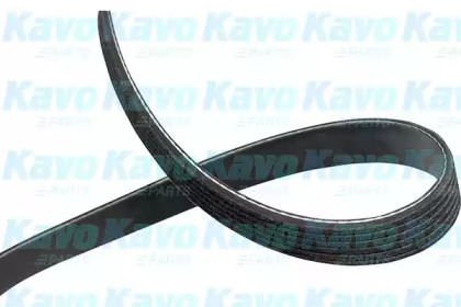 Ремень KAVO PARTS DMV-1035