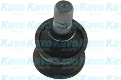 Шарнир KAVO PARTS SBJ-4007