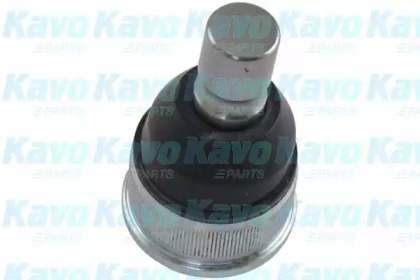 Шарнир KAVO PARTS SBJ-4535