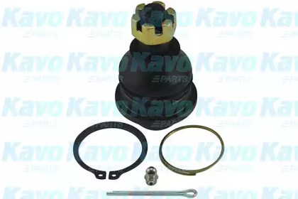 Шарнир KAVO PARTS SBJ-5504