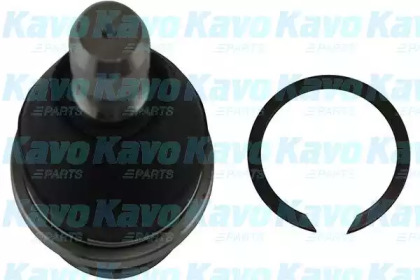 Шарнир KAVO PARTS SBJ-6550