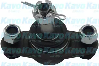 Шарнир KAVO PARTS SBJ-9010