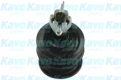 Шарнир KAVO PARTS SBJ-9065