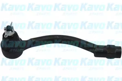 Шарнир KAVO PARTS STE-3051