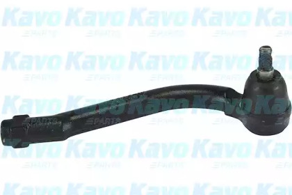 Шарнир KAVO PARTS STE-4036