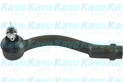 Шарнир KAVO PARTS STE-4043