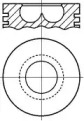 Поршень NÜRAL 87-119800-00