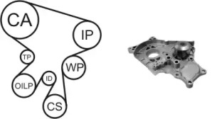 Комплект водяного насоса / зубчатого ремня AIRTEX WPK-169901