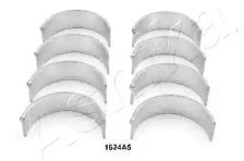 Вкладыш подшипника ASHIKA 82-1624A5