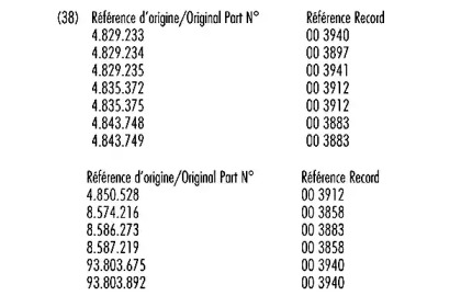 Амортизатор RECORD FRANCE 003941