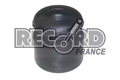 Пылезащитный комплект RECORD FRANCE 923715