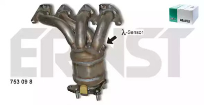Катализатор ERNST 753098