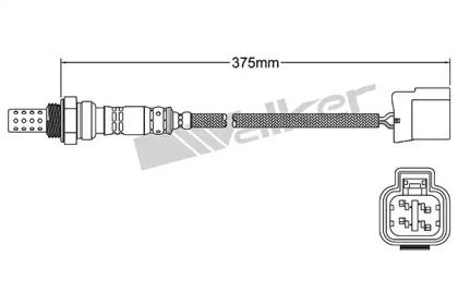 Датчик WALKER PRODUCTS 250-241029