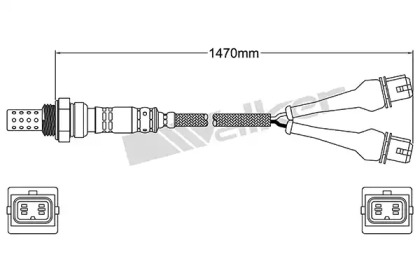 Датчик WALKER PRODUCTS 250-24184