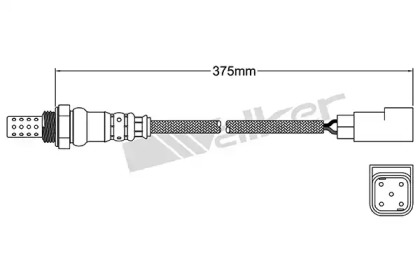 Датчик WALKER PRODUCTS 250-24283