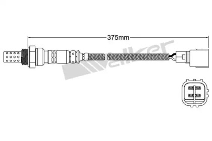 Датчик WALKER PRODUCTS 250-24322