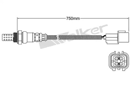 Датчик WALKER PRODUCTS 250-24780