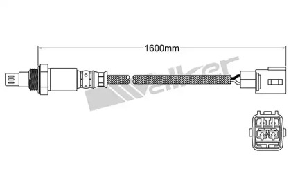 Датчик WALKER PRODUCTS 250-54091