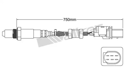 Датчик WALKER PRODUCTS 800-95007