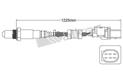 Датчик WALKER PRODUCTS 800-95019