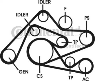 Ременный комплект CONTITECH 6PK2404D1