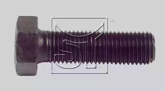 Болт ST-TEMPLIN 18.050.9008.016