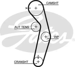 Ремень GATES 5441XS