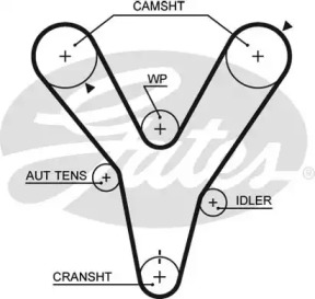 Ремень GATES 5584XS