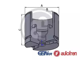 Поршень AUTOFREN SEINSA D025256