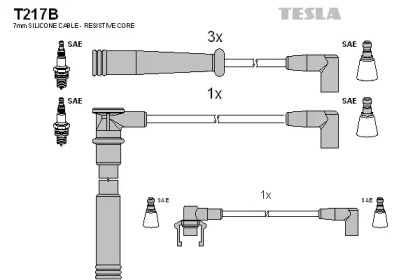 Комплект электропроводки TESLA T217B