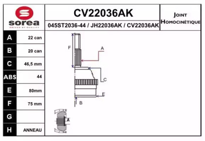 Шарнирный комплект EAI CV22036AK