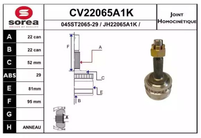 Шарнирный комплект EAI CV22065A1K