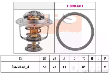 Термостат EPS 1.880.398