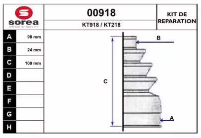 Комплект пыльника SNRA 00918