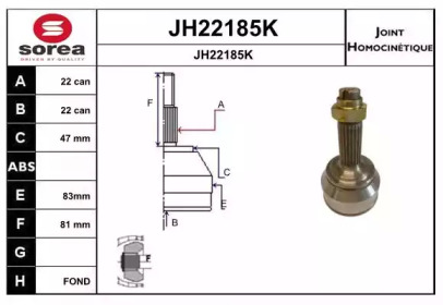 Шарнирный комплект SNRA JH22185K