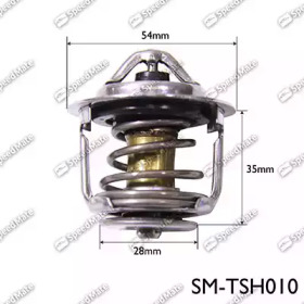 Термостат SpeedMate SM-TSH010