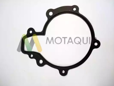 Насос MOTAQUIP LVWP998