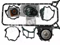 Комплект прокладок IPS Parts IFS-9S01