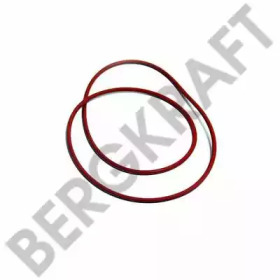 Прокладкa BERGKRAFT BK6120387