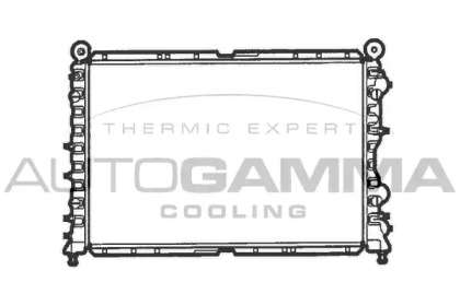 Теплообменник AUTOGAMMA 100010