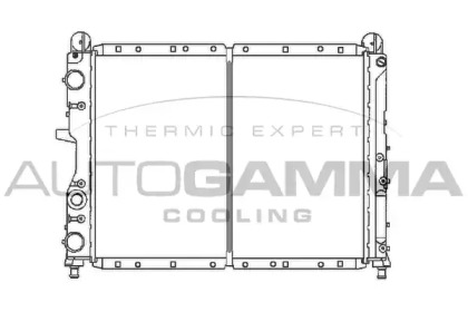 Теплообменник AUTOGAMMA 100014